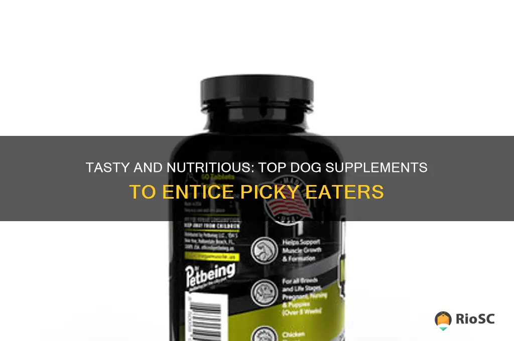 best dog supplements for picky eaters