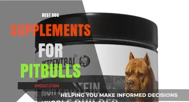 Top Nutritional Supplements to Boost Your Pitbull's Health and Vitality