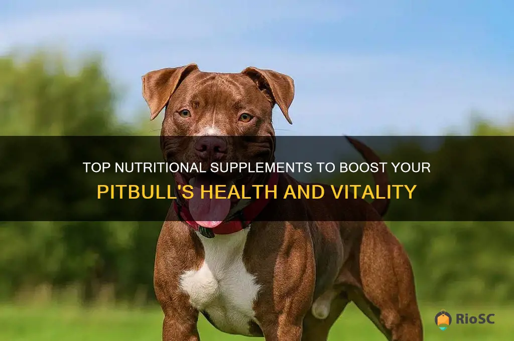 best dog supplements for pitbulls