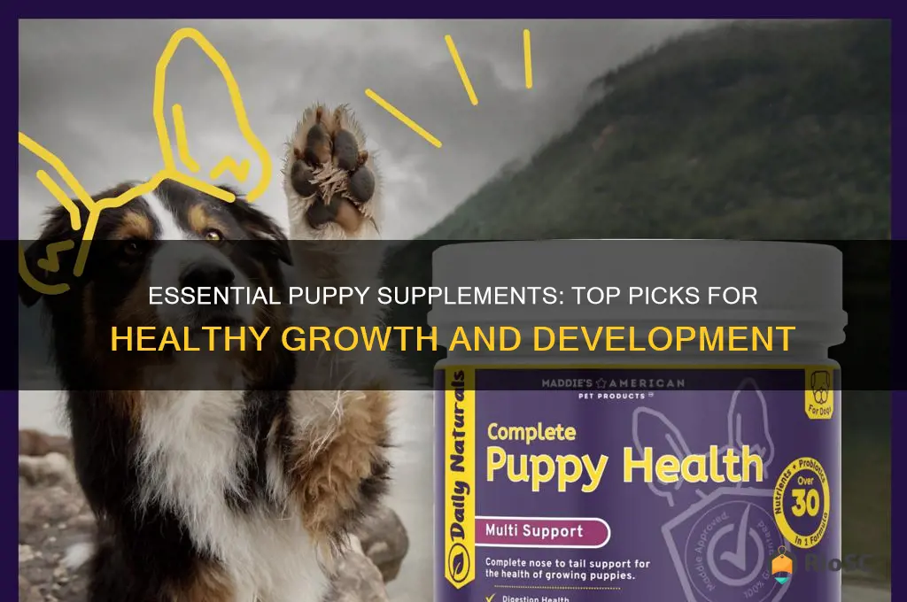 best dog supplements for puppies