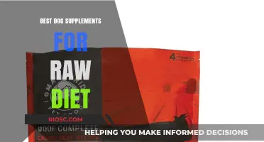 Essential Dog Supplements to Enhance a Raw Diet for Optimal Canine Health