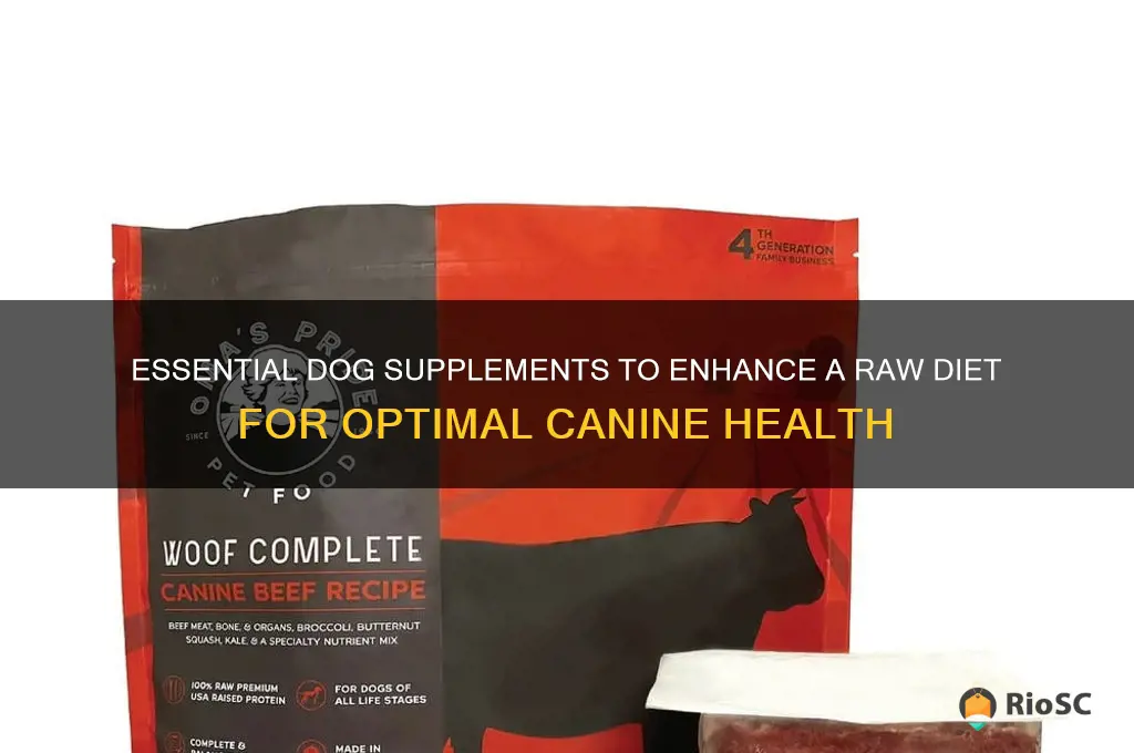 best dog supplements for raw diet