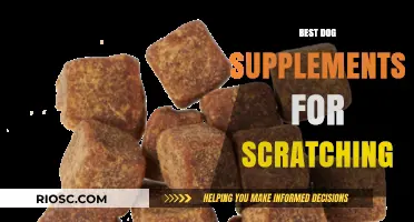 Effective Dog Supplements to Relieve Scratching and Promote Healthy Skin