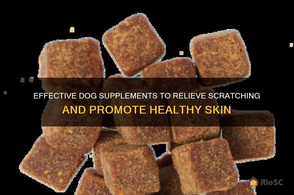 best dog supplements for scratching