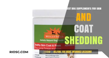 Top Dog Supplements for Healthy Skin, Shiny Coat, and Reduced Shedding