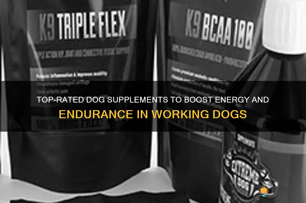 best dog supplements for working dogs
