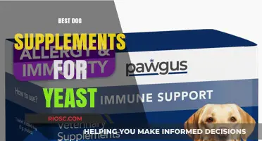 Top Dog Supplements to Combat Yeast Infections: A Comprehensive Guide