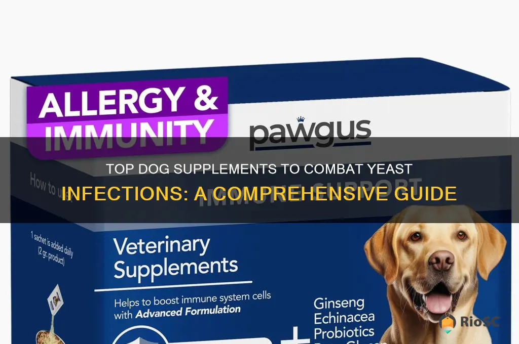 best dog supplements for yeast