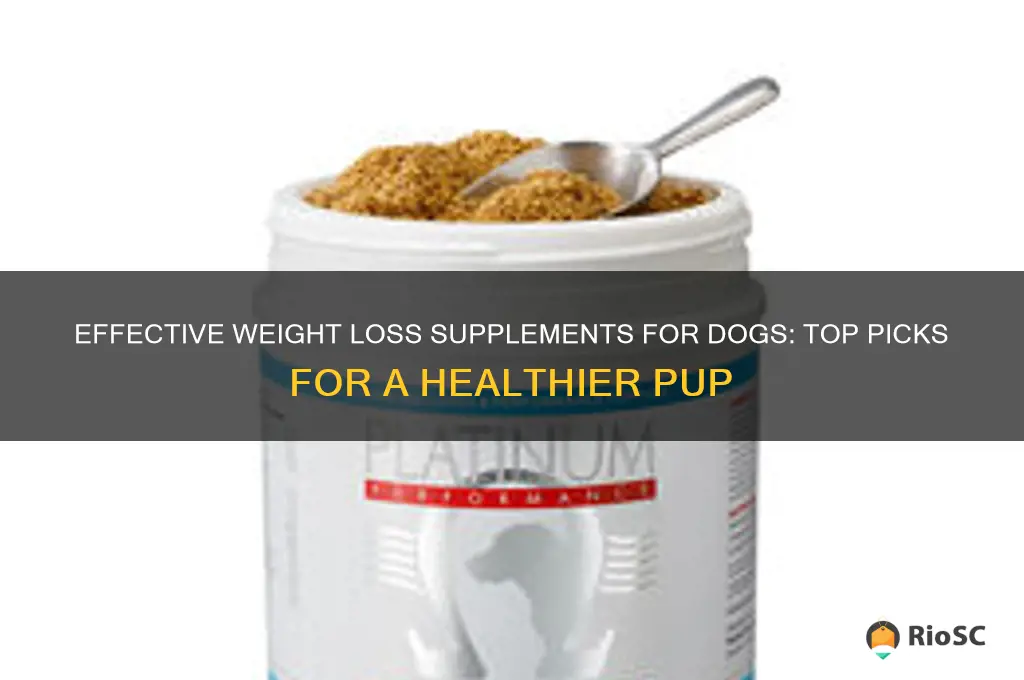 best dog supplements to lose weight
