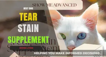 Effective Solutions for Dog Tear Stains: Top Supplements to Keep Your Pet’s Eyes Bright and Healthy