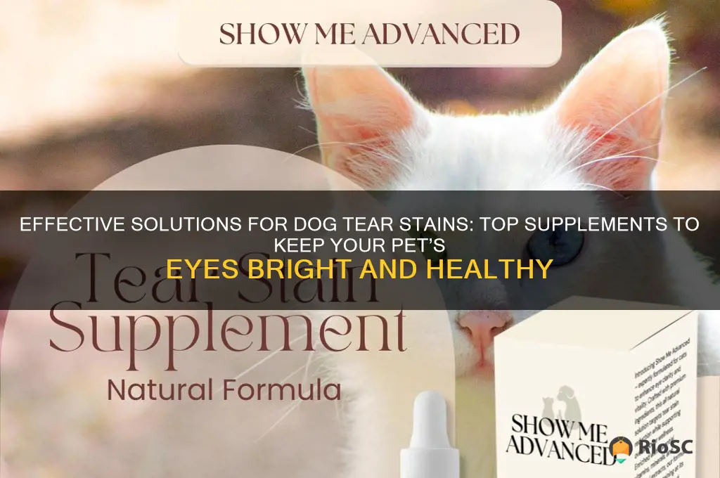 best dog tear stain supplement