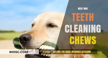 Top Dog Teeth Cleaning Chews: Keep Your Pup's Smile Bright and Healthy