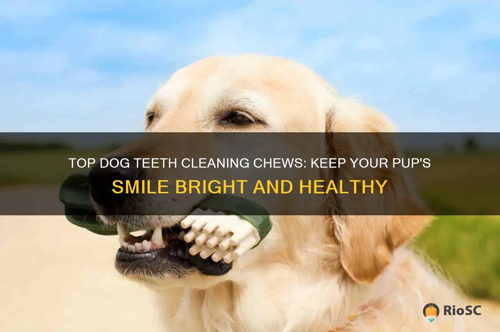 best dog teeth cleaning chews