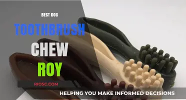 Best Dog Toothbrush Chew Roy: Top Picks for Canine Dental Health and Fresh Breath