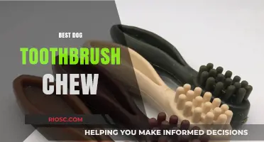 Top Dog-Approved Toothbrush Chews for Fresh Breath and Healthy Teeth