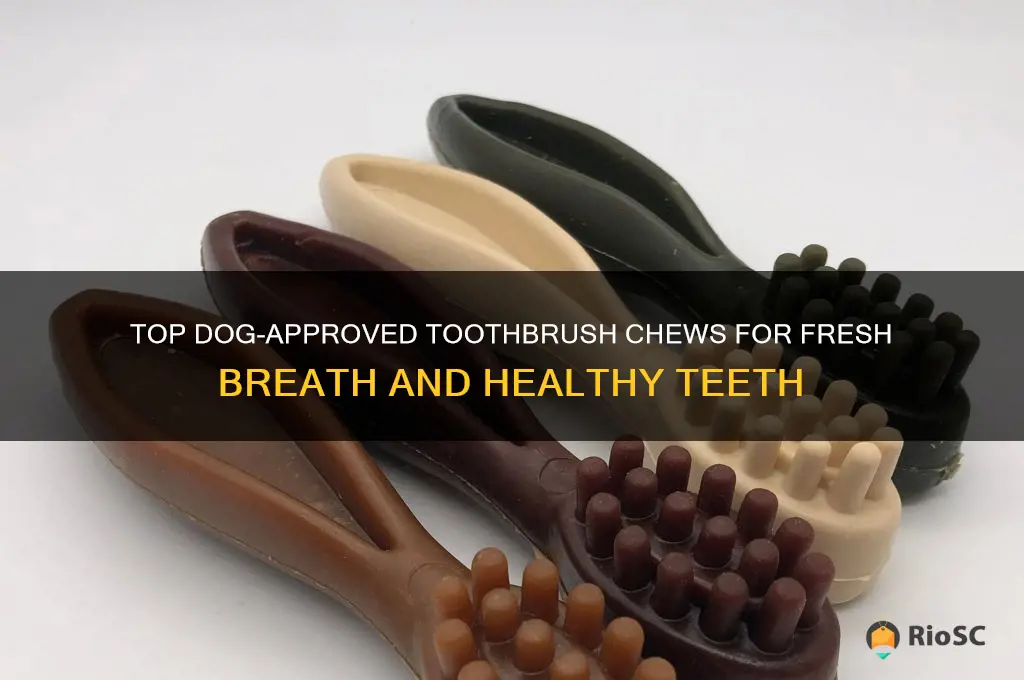 best dog toothbrush chew