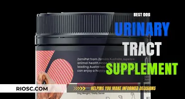 Top Dog Urinary Tract Supplements for Optimal Canine Health and Wellness
