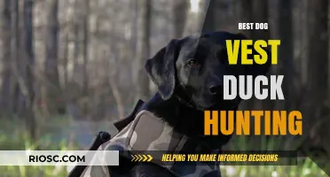 Top-Rated Dog Vests for Duck Hunting: Enhance Your Retriever's Performance and Safety