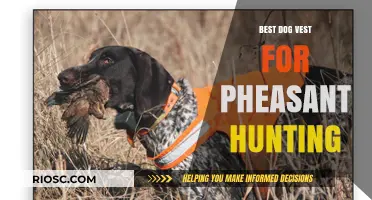 Top-Rated Dog Vests for Pheasant Hunting: Protect Your Canine Companion in the Field