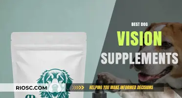 Enhance Your Dog's Eye Health: Top Vision Supplements for Canine Clarity