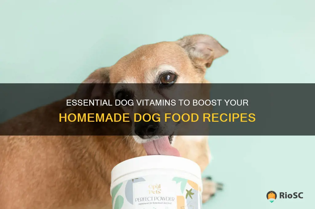 best dog vitamins for homemade dog food