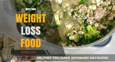 Slim Down Your Furry Friend: The Ultimate Guide to Dog Weight Loss Foods