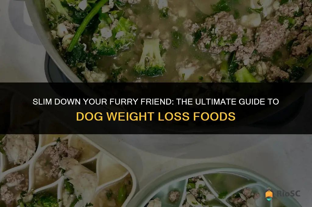 best dog weight loss food