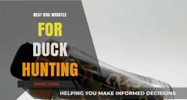 Top-Rated Dog Whistles for Duck Hunting: Enhance Your Retriever's Performance in the Field