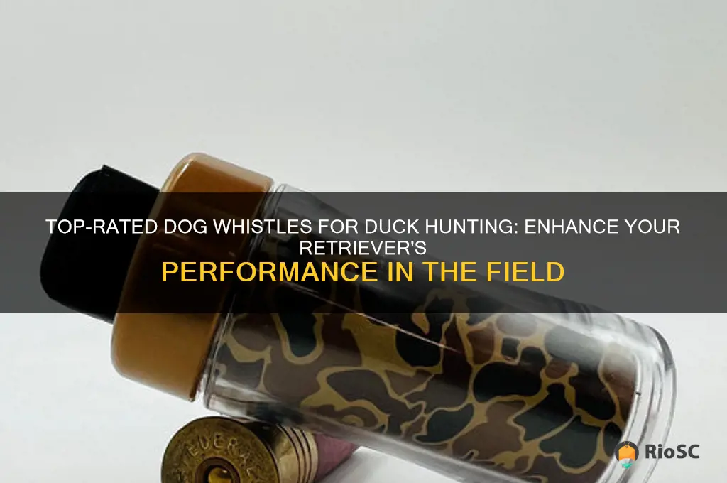 best dog whistle for duck hunting
