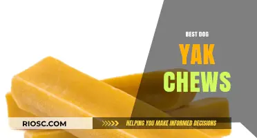 Top-Rated Dog Yak Chews: Healthy, Long-Lasting Treats for Your Furry Friend