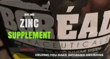 Top-Rated Zinc Supplements for Dogs: Boost Your Pet's Health and Immunity