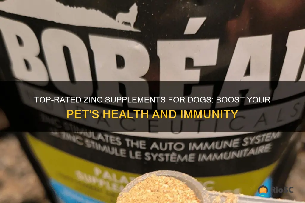 best dog zinc supplement