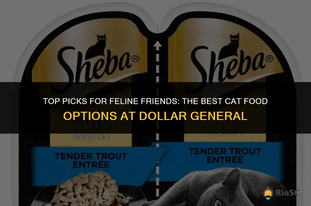 best dollar general cat food