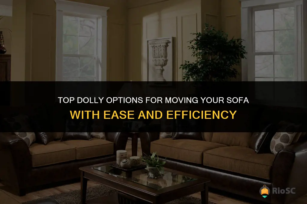 best dolly for moving sofa