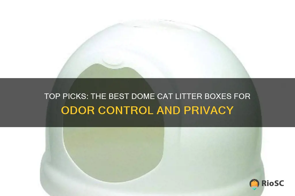 best dome cat litter box
