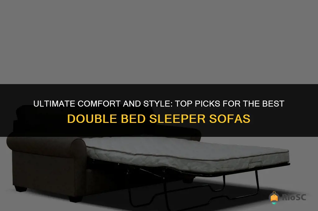 best double bed sleeper sofa