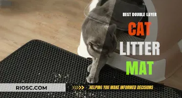 Top Double Layer Cat Litter Mat Options for a Cleaner Home