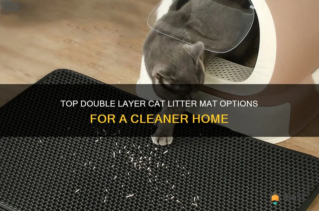 best double layer cat litter mat