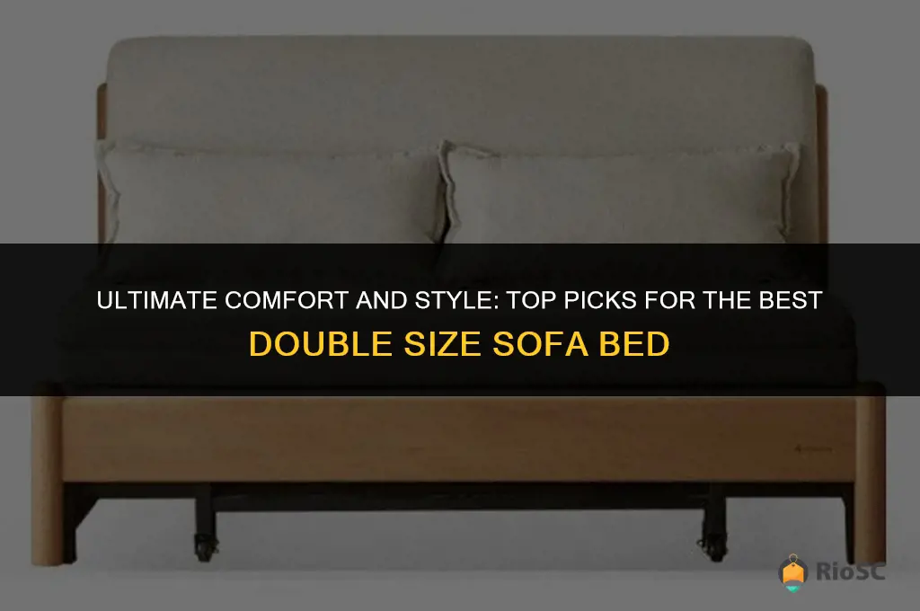 best double size sofa bed