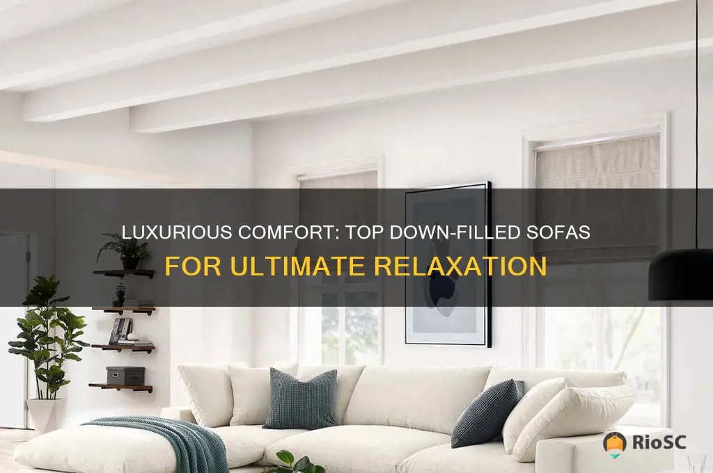 best down filled sofas