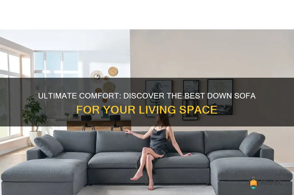 best down sofa
