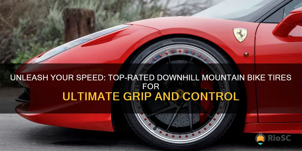 best downhill mountain bike tires