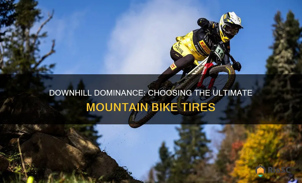 best downhill mountain bike tires