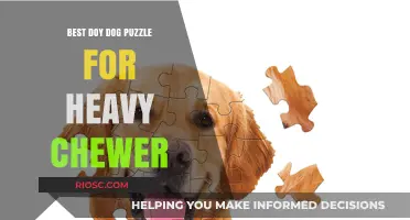 Durable Dog Puzzle Toys: Top Picks for Heavy Chewers to Keep Them Engaged and Entertained