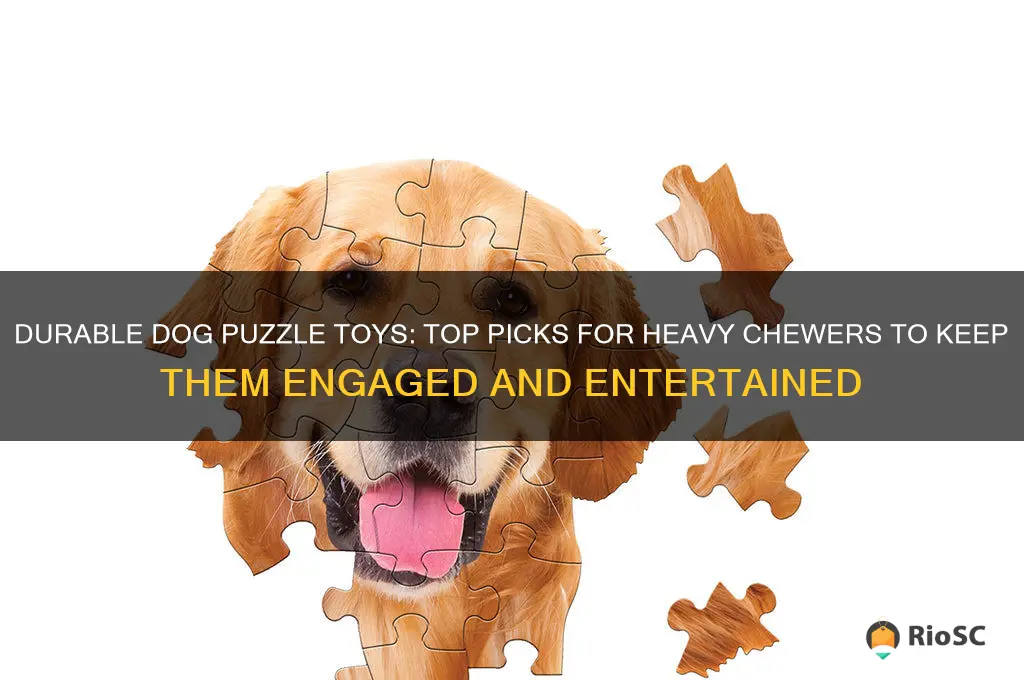 best doy dog puzzle for heavy chewer