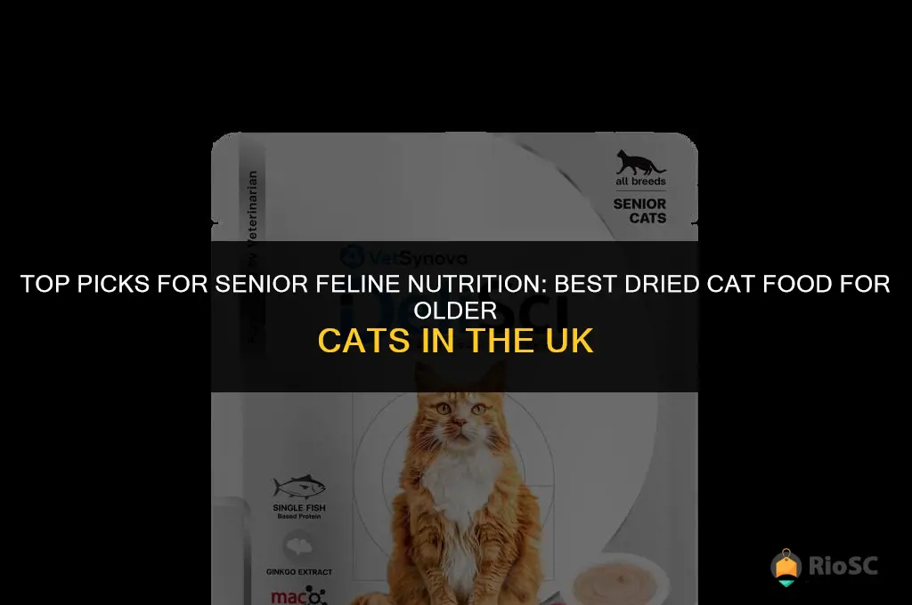 best dried cat food for older cats uk