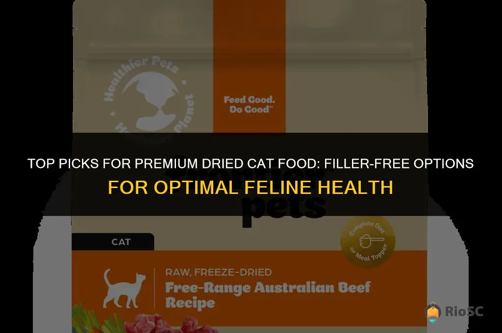 best dried cat food without fillers