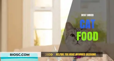 Top Picks for Your Feline Friend: The Best Dried Cat Food Options