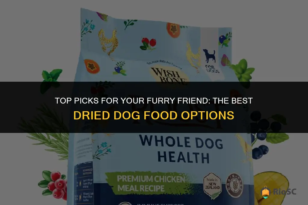 best dried dog food