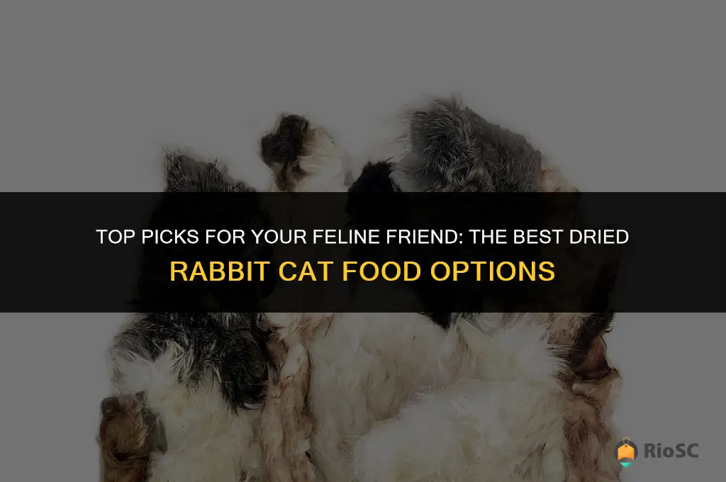 best dried rabbit cat food